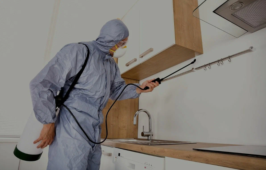 Temple City pest managment